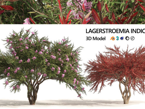 Medium Poly Trees for Realistic Environments 3Dモデル