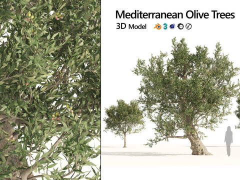 Medium Poly Trees for Realistic Environments 3Dモデル