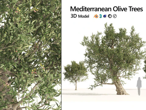 Medium Poly Trees for Realistic Environments 3D Model