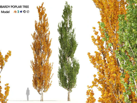Medium Poly Trees for Realistic Environments 3D Model