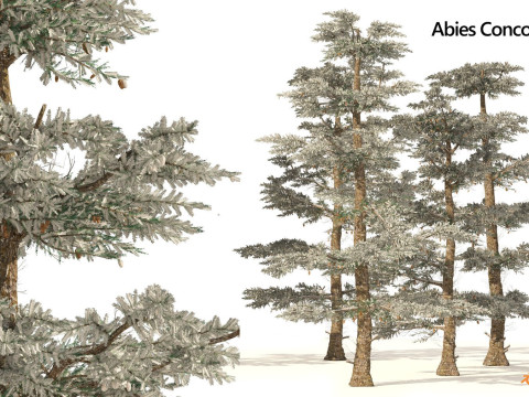 Medium Poly Trees for Realistic Environments 3Dモデル