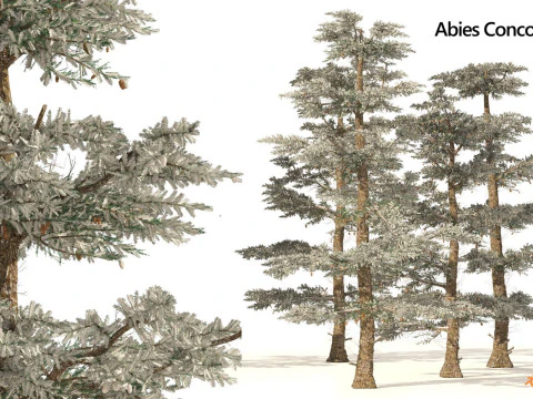 Medium Poly Trees for Realistic Environments 3D Model