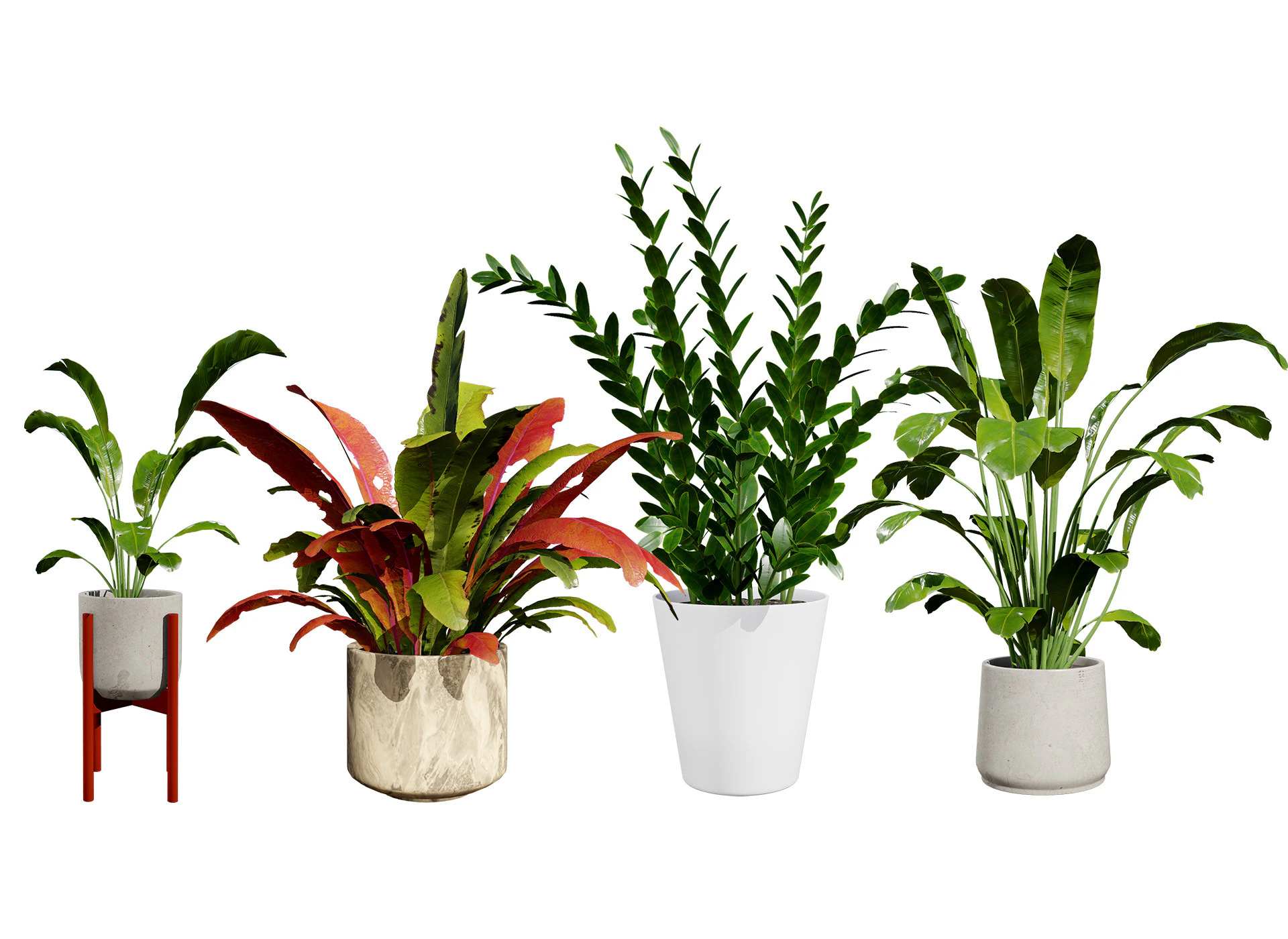 Indoor Plants Pack 3D Model .c4d .max .obj .3ds .fbx .stl .blend 