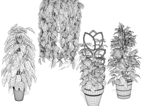 Realistic Sindoor Pothos 3D मॉडल