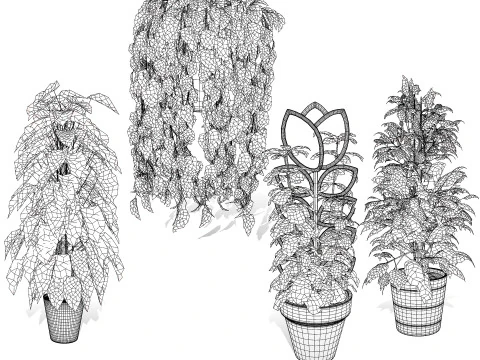Realistic Sindoor Pothos 3D Model