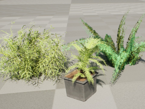 Foxtail Fern 3D Model