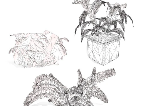 Foxtail Fern 3D Model