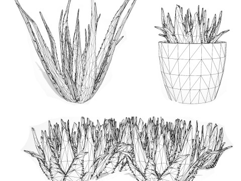 Realistic Aloe Vera Plant Collection Modelo 3D