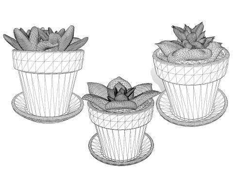 Realistic Potted Cacti 3D Model