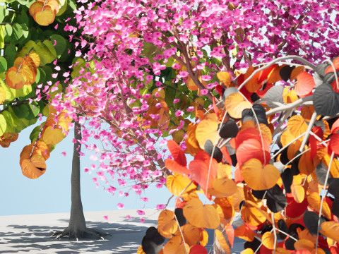 Judas Tree 3D Model