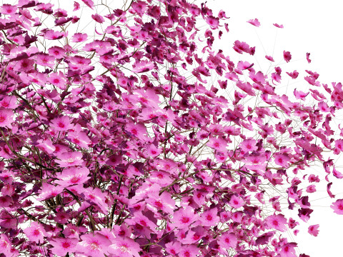 Judas Tree 3D Model