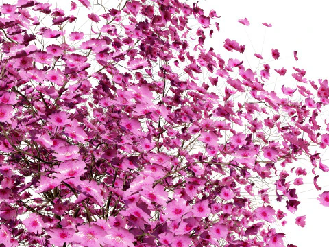 Judas Tree 3D Model