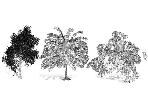 Judas Tree 3D Model
