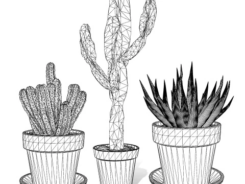 Realistic Indoor Cactus Collection 3D Model