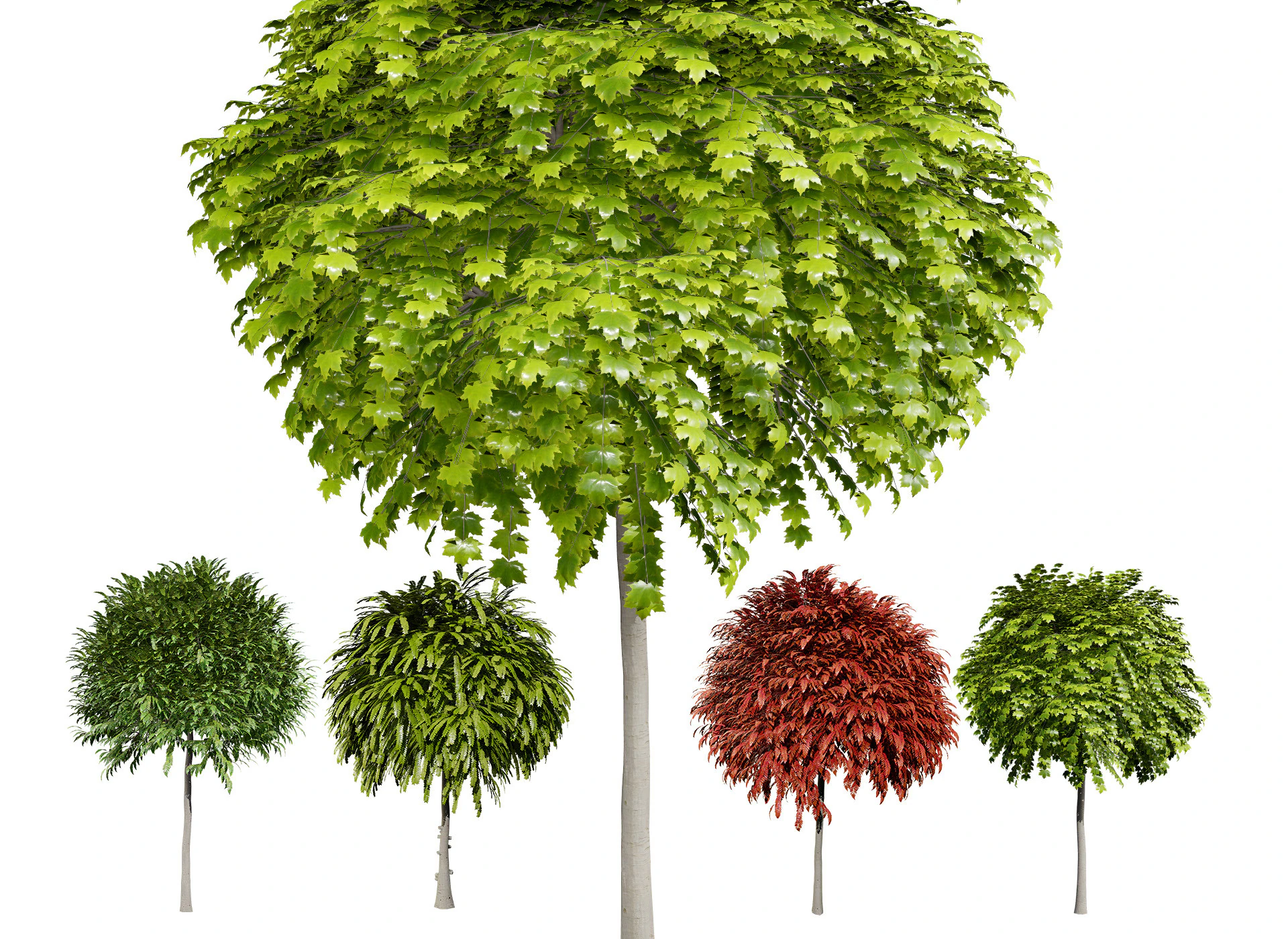 Collection d'arbres Mop Top Modèle 3D .c4d .max .obj .3ds .fbx .stl .blend 