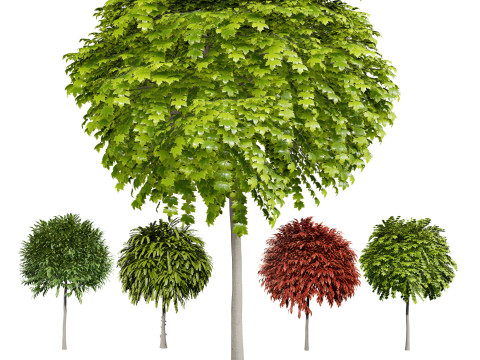 Mop Top trees collection 3D Model