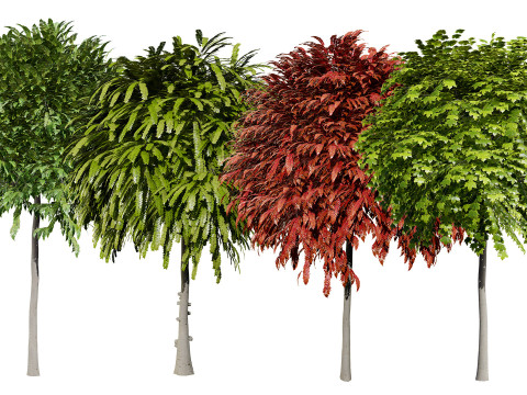Mop Top trees collection 3D 모델