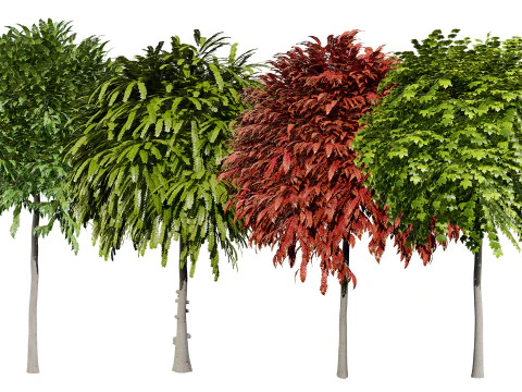Collection d'arbres Mop Top Modèle 3D