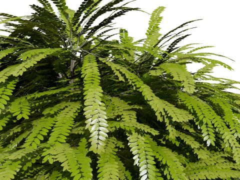 Collection d'arbres Mop Top Modèle 3D