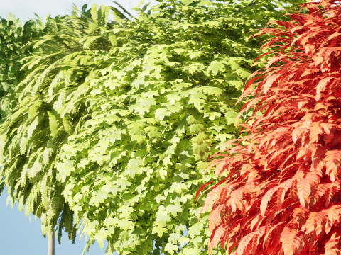 Mop Top trees collection 3D 모델