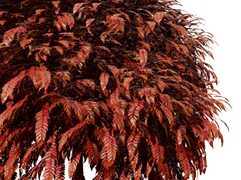 Mop Top trees collection 3D 모델