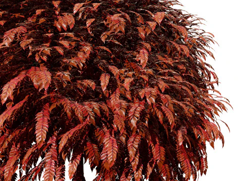 Collection d'arbres Mop Top Modèle 3D