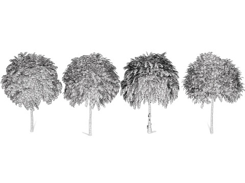 Mop Top trees collection 3D 모델