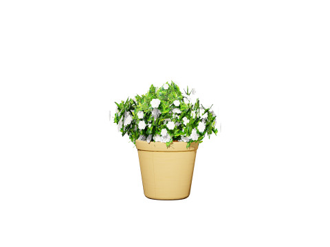 Gardenia Shrub Pack 3D Model