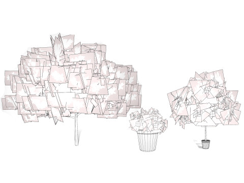 Gardenia Shrub Pack 3D Model