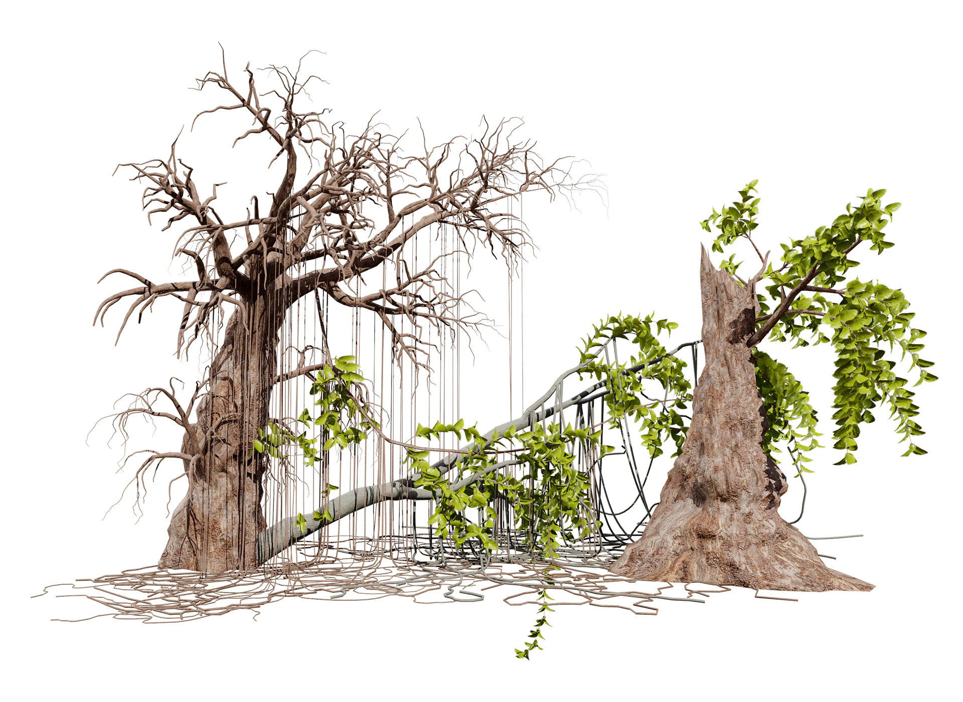 Albero di Tarzan nella giungla Modello 3D .c4d .max .obj .3ds .fbx .stl .blend