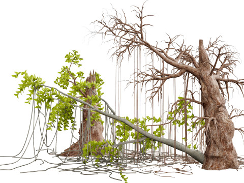 Jungle Tarzan Tree 3D-Modell