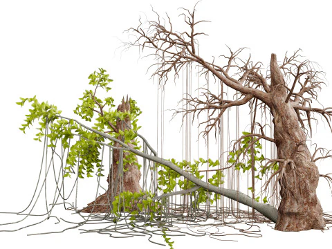 Albero di Tarzan nella giungla Modello 3D