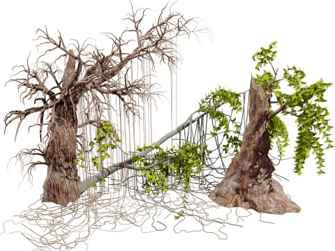 Albero di Tarzan nella giungla Modello 3D