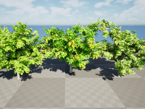 Realistic Starfruit Tree Model Model 3D
