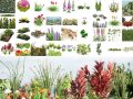 Realistic Plants - Low Poly 3d Pack 3D Model