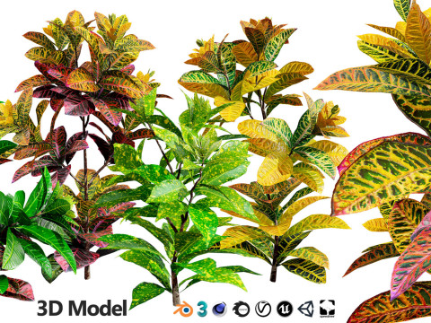 Realistic Plants - Low Poly 3d Pack 3D 모델