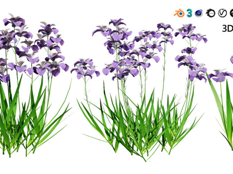 Realistic Plants - Low Poly 3d Pack 3D 모델