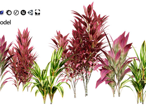 Realistic Plants - Low Poly 3d Pack 3D 모델