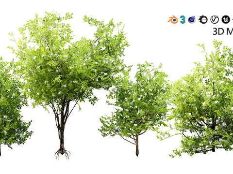 Realistic Plants - Low Poly 3d Pack 3D 모델