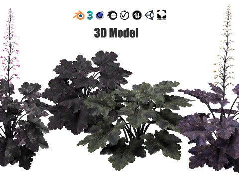 Realistic Plants - Low Poly 3d Pack 3D 모델