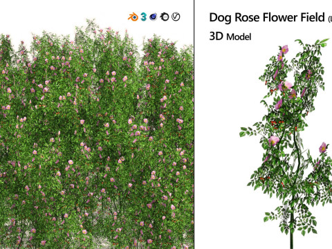 Realistic Plants - Low Poly 3d Pack 3D 모델