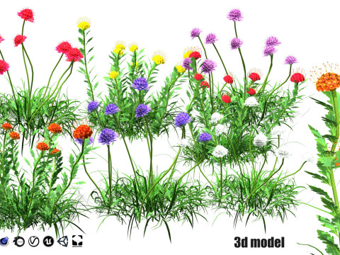 Realistic Plants - Low Poly 3d Pack 3D 모델