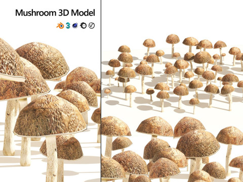 Realistic Plants - Low Poly 3d Pack 3D 모델