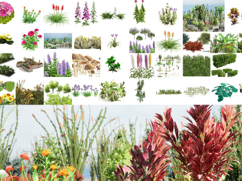 Realistic Plants - Low Poly 3d Pack 3D 모델