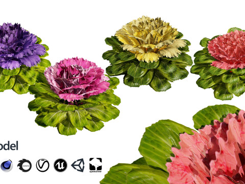 Realistic Plants - Low Poly 3d Pack 3D 모델
