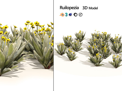 Realistic Plants - Low Poly 3d Pack 3D 모델