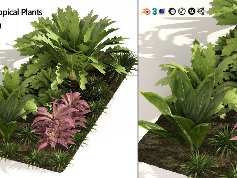 Realistic Plants - Low Poly 3d Pack 3D 모델