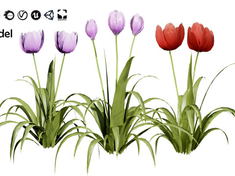 Realistic Plants - Low Poly 3d Pack 3D 모델