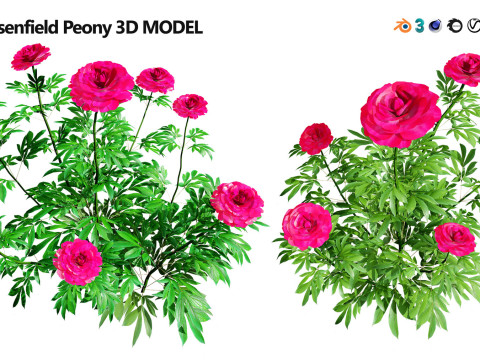 Realistic Plants - Low Poly 3d Pack 3D 모델
