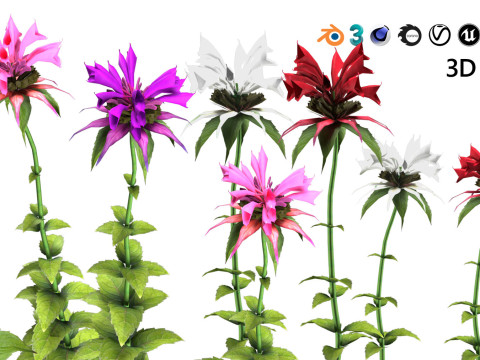 Realistic Plants - Low Poly 3d Pack 3D 모델